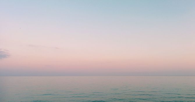 The Leptin Reset Protocol for Weight Loss by Dr. Jack Kruse