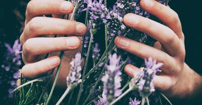 The Leptin Reset Protocol for Weight Loss by Dr. Jack Kruse