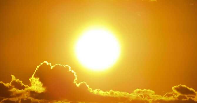 The Sunny Side of Vitamin D: Sun Exposure and Natto as Natural Sources image